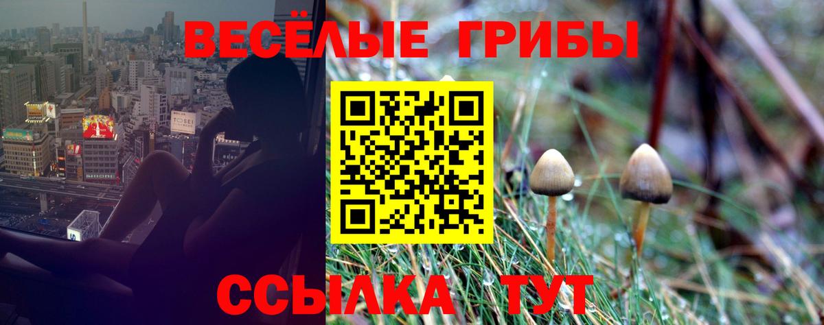 Спасск-Дальний  Псилоцибиновые грибы Cubensis  где продают наркотики  Вход с VPN 